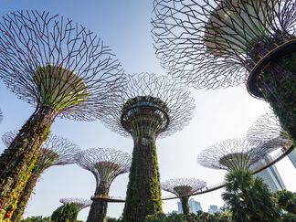 Top Stories By Asset Article Promo