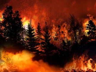 Top Stories By Asset Article Promo