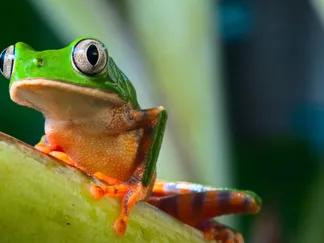 Top Stories By Asset Article Promo