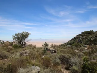 Top Stories By Asset Article Promo