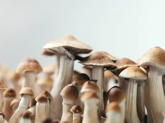 Top Stories By Asset Article Promo