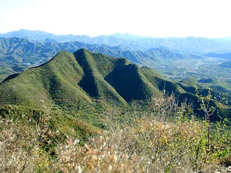 Top Stories Promo Image