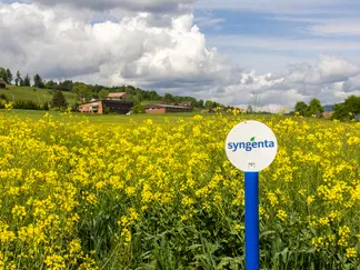 Top Stories By Asset Article Promo