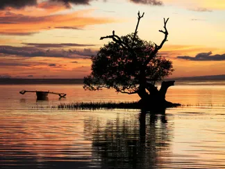 Top Stories By Asset Article Promo