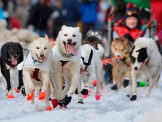 Top Stories By Asset Article Promo