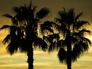 Top Stories By Asset Article Promo