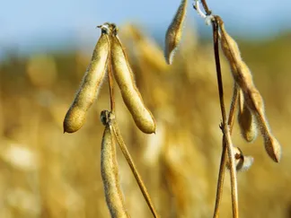 Top Stories By Asset Article Promo