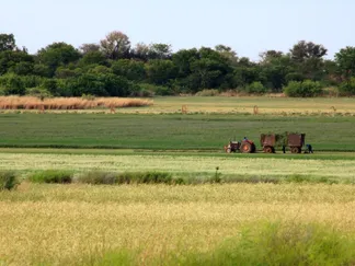 Top Stories By Asset Article Promo