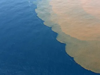 Top Stories By Asset Article Promo