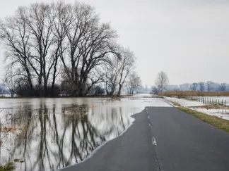 Top Stories By Asset Article Promo