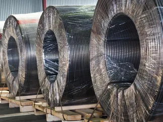 Top Stories Promo Image